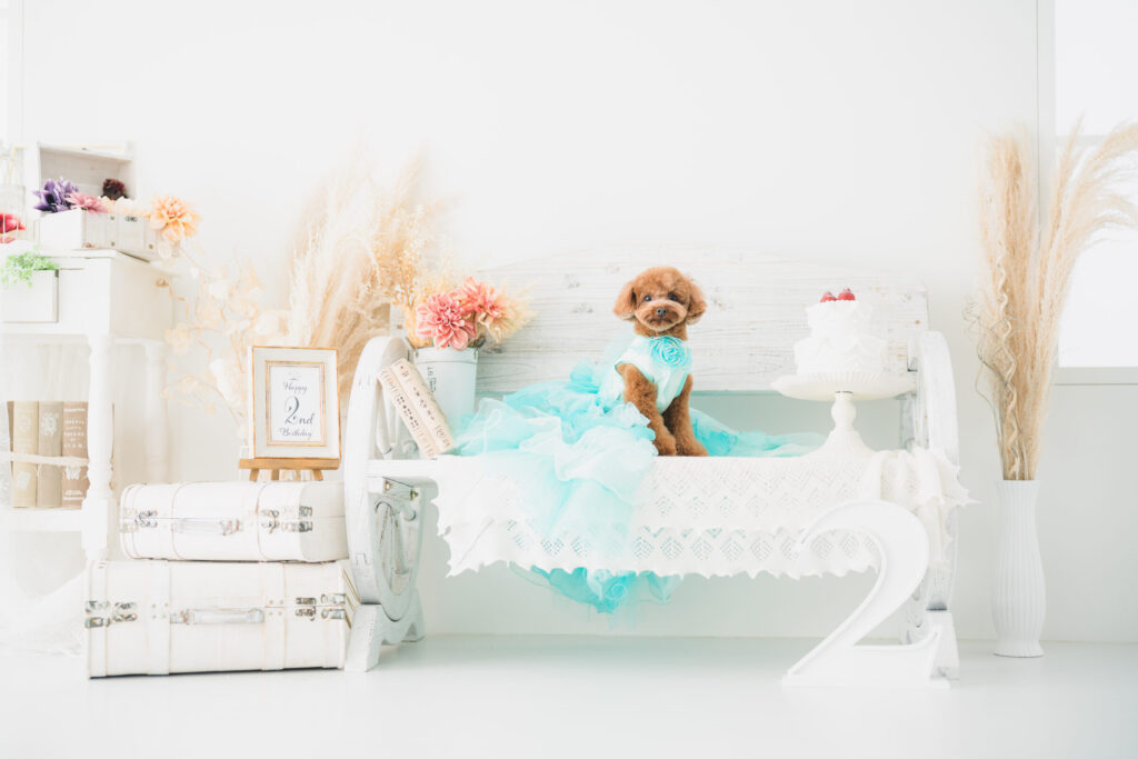 DSC05781 (2026-01-22T02_45_29.716)