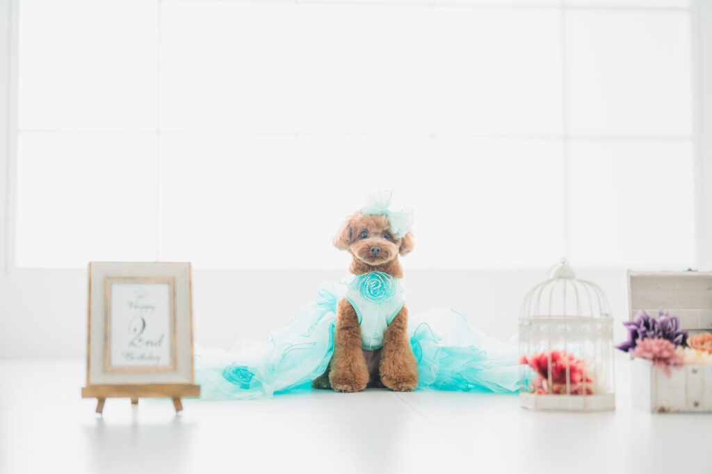 DSC05948 (2026-01-22T02_45_22.682)